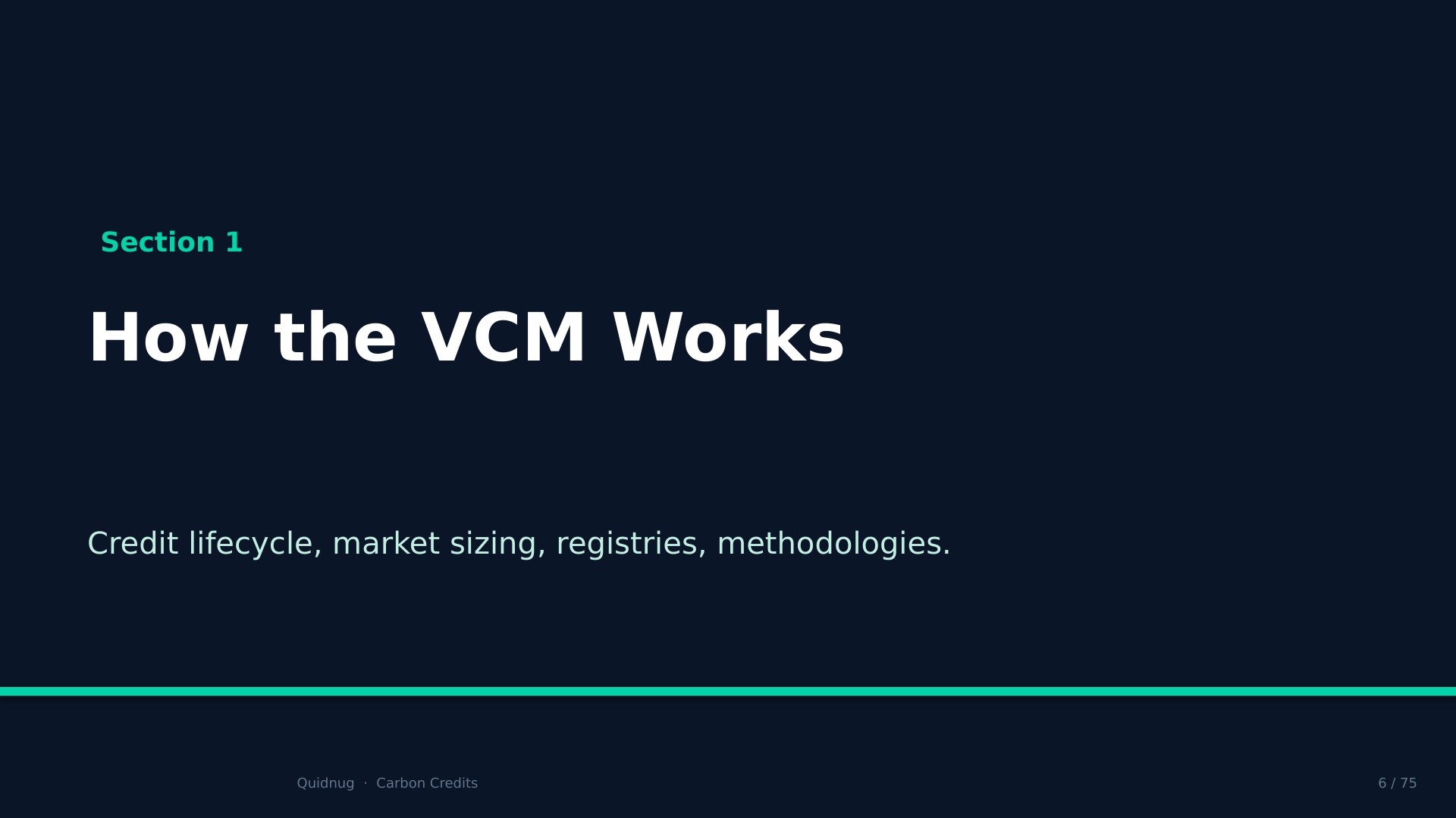 Slide 6