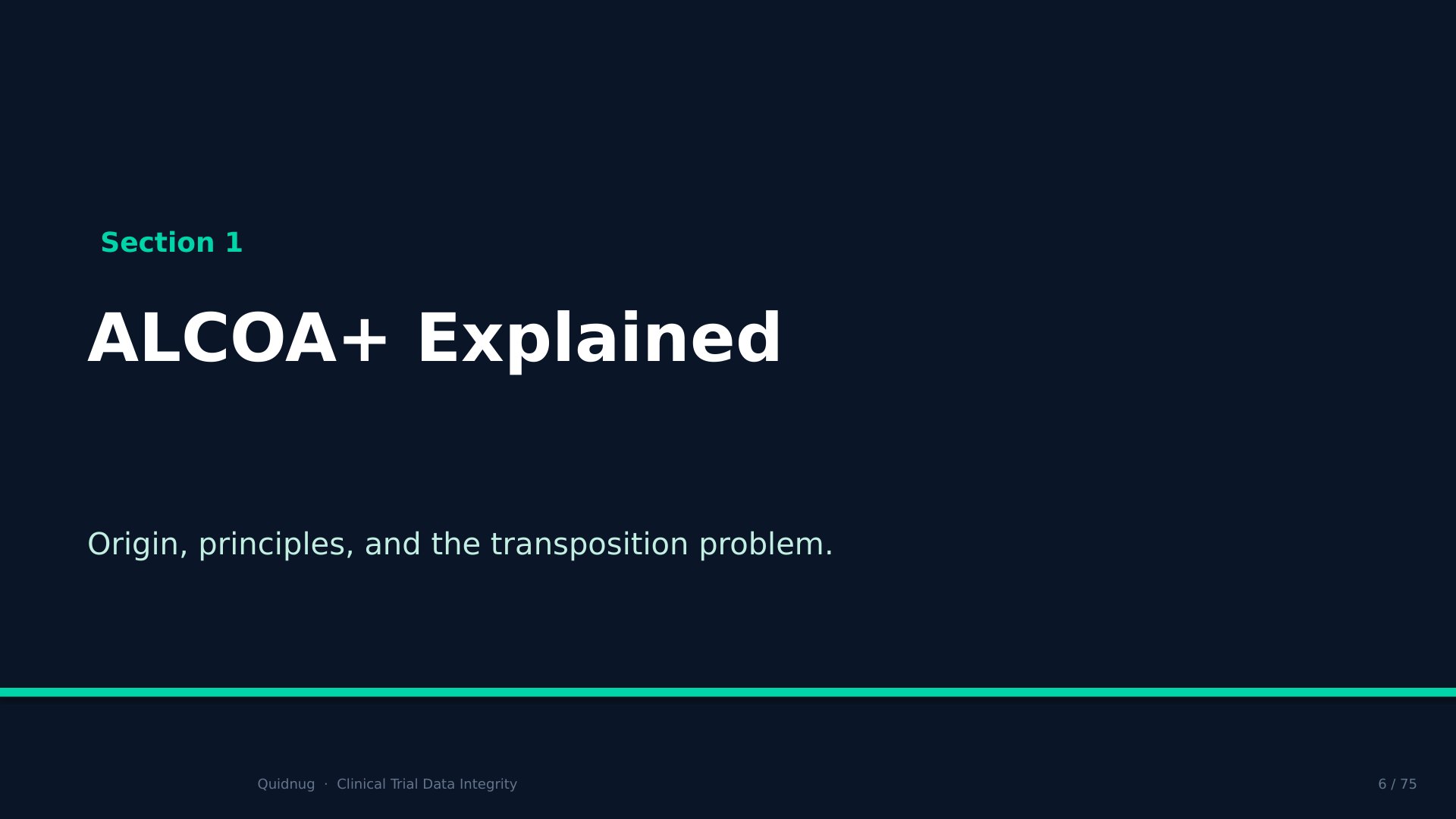 Slide 6